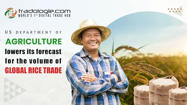 USDA Philippines to Takeover China as World Top Rice Importer