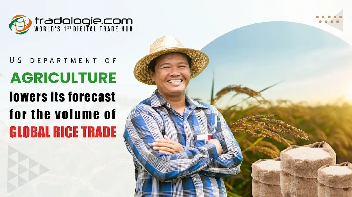 The US Department of Agriculture Lowers Its Forecast For the Volume of Global Rice Trade