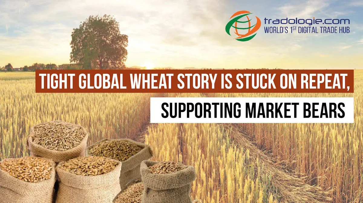 Tight Global Wheat Story Is Stuck On Repeat, Supporting Market Bears Tight Global Wheat Story Is Stuck On Repeat, Supporting Market Bears