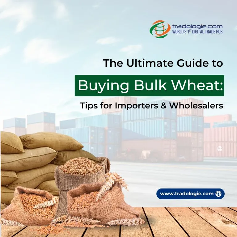 Tips To Buy Bulk Wheat For Wholesalers and Importers