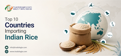 Top 10 Countries Importing Indian Rice