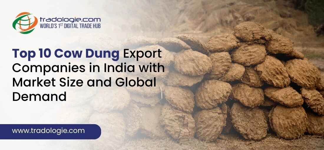 Top 10 Cow Dung Export Companies in India with Market Size and Global Demand