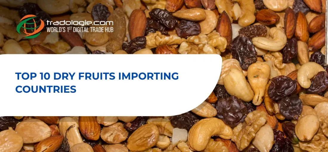 Top 10 Dry Fruits Importing Countries: Markets That Are Quietly Driving Global Trade