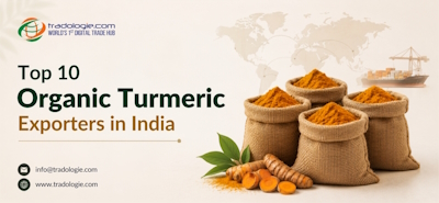 Top 10 organic turmeric exporters in india