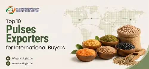 Top 10 Pulses Exporters for International Buyers
