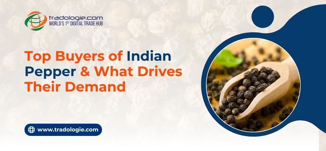 Top Buyers of Indian Pepper & What Drives Their Demand Top Buyers of Indian Pepper & What Drives Their Demand
