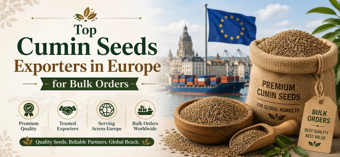 Top Cumin Seeds Exporters in Europe for Bulk Orders