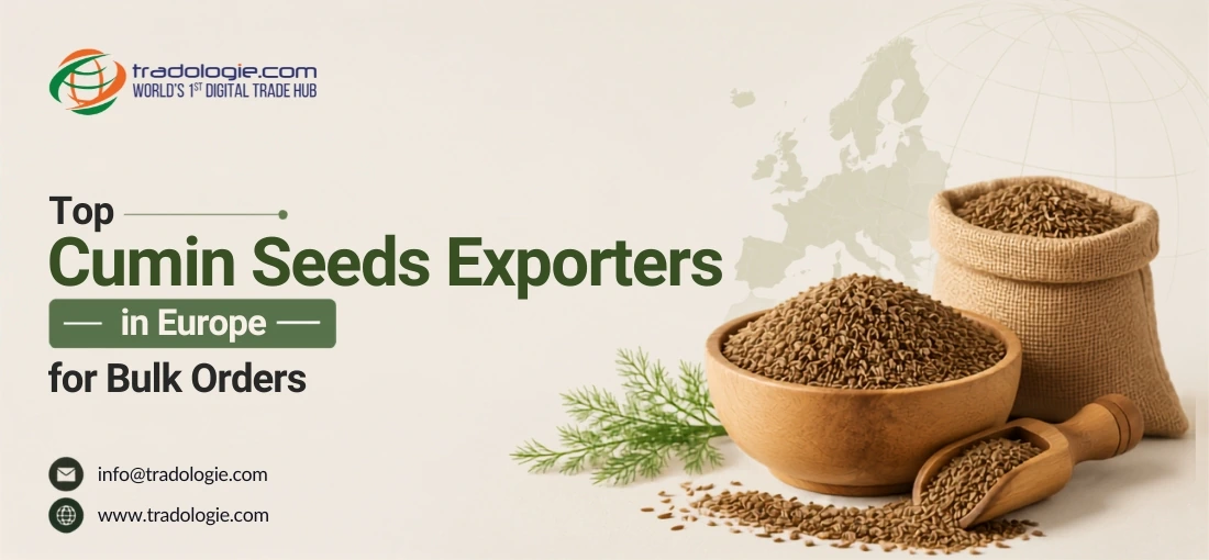 Top Cumin Seeds Exporters in Europe for Bulk Orders