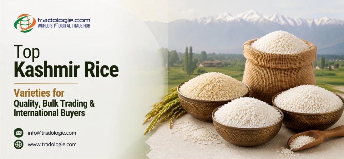 Top Kashmir Rice Varieties for Quality, Bulk Trading