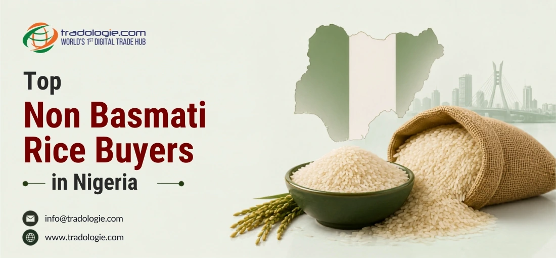 Top Non Basmati Rice Buyers in Nigeria
