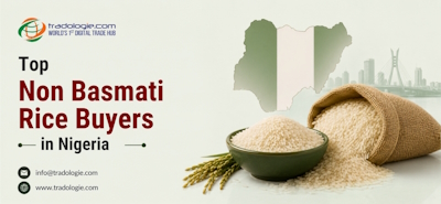 Top Non Basmati Rice Buyers in Nigeria