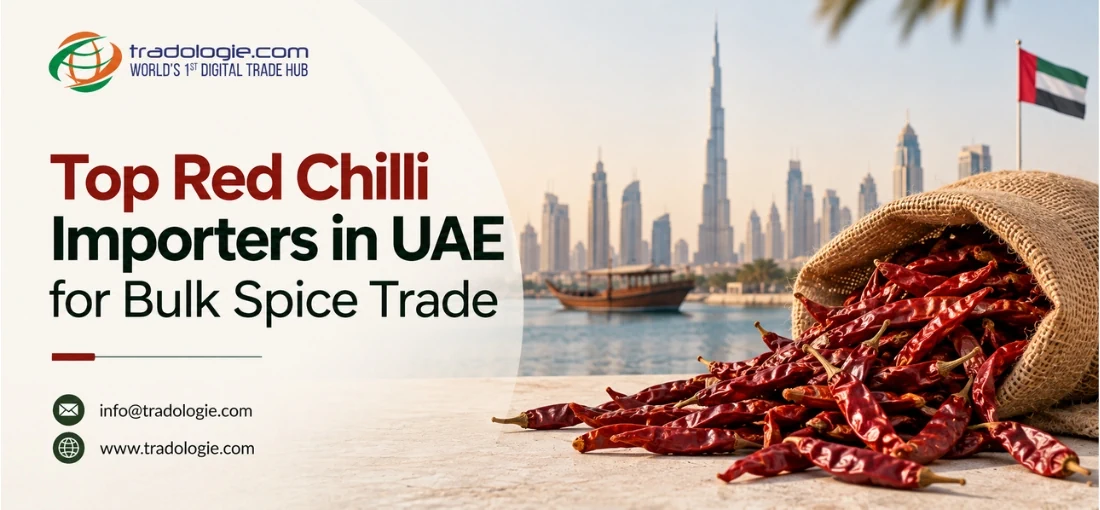 Top Red Chilli Importers in UAE for Bulk Spice Trade