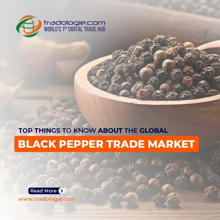 Top Things To Know About The Global Black Pepper Trade Market