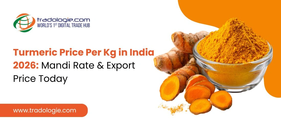 Turmeric Price Per Kg in India 2026