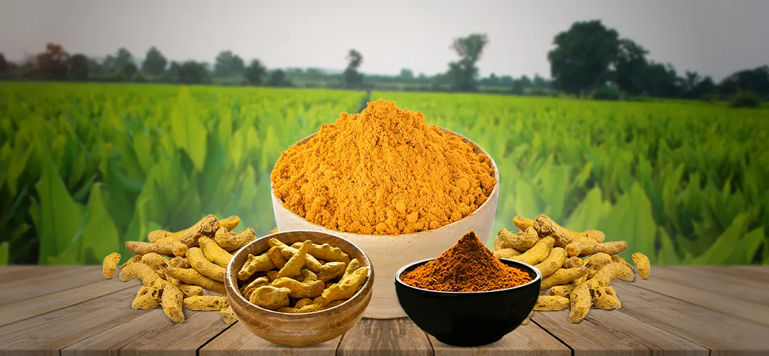Global Turmeric Trade