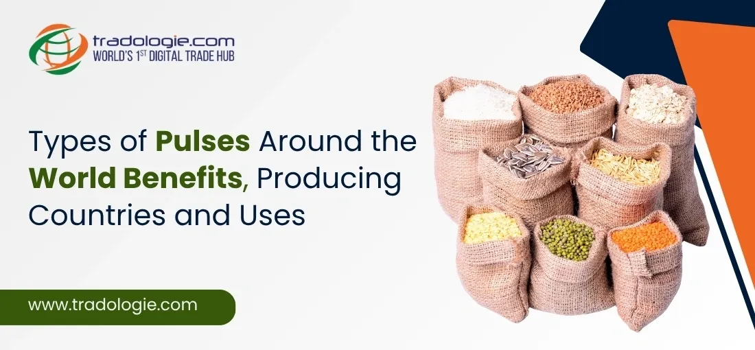 Types of Pulses Around the World: Benefits, Producing Countries pulses food and Uses