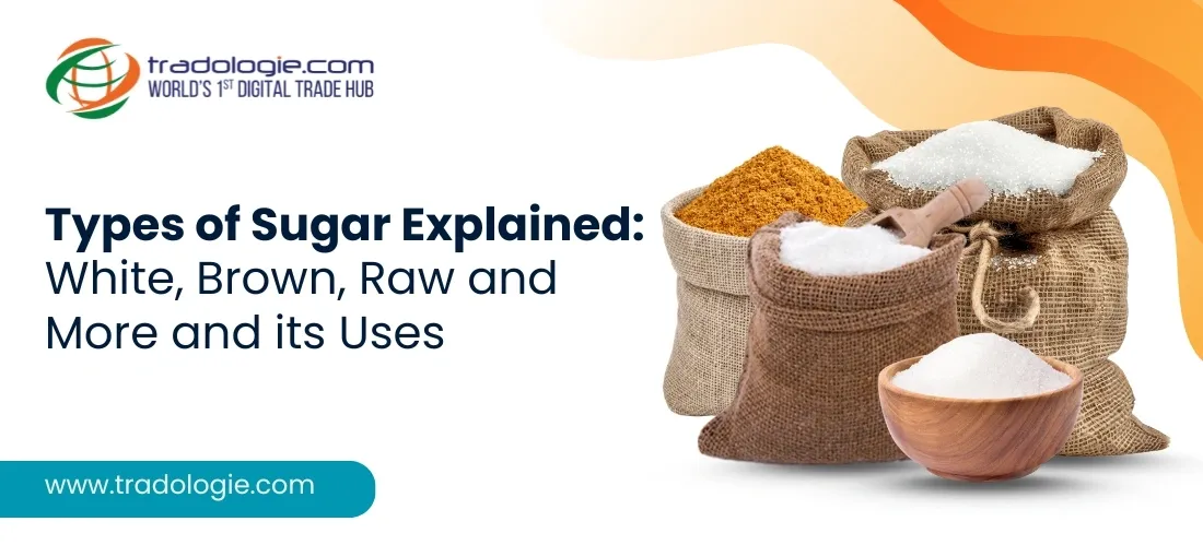Types of Sugar Explained: Decoding the Global Logistics of Raw, Refined, and Specialty Supply