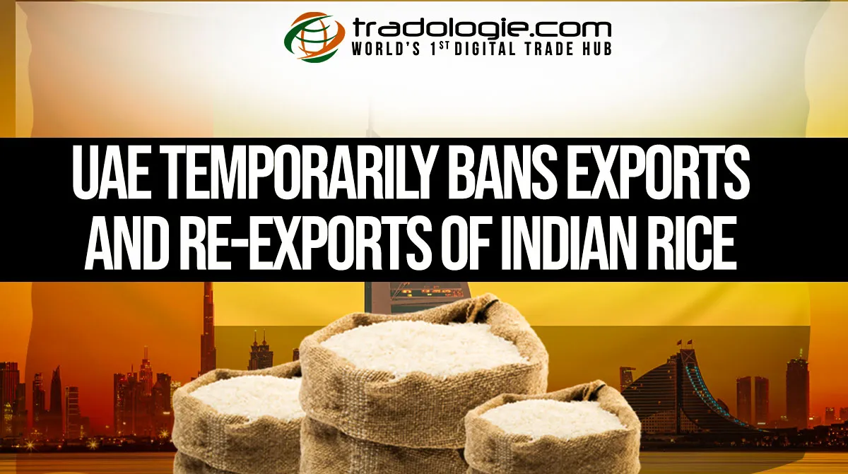 UAE Temporarily Bans Exports And Re-Exports Of Indian Rice