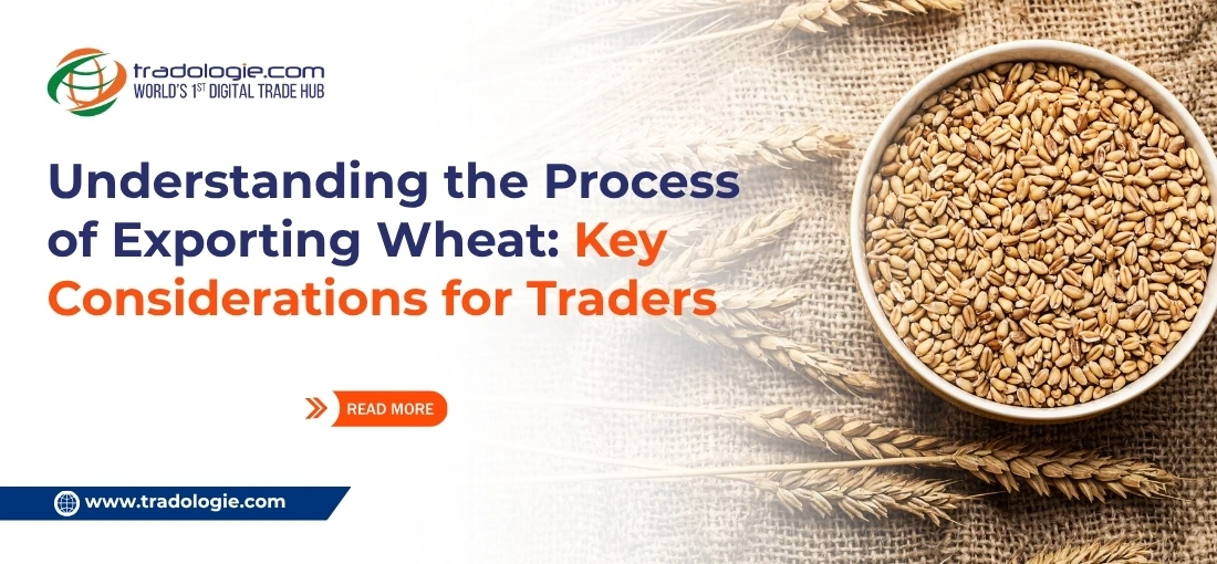 Understanding the Process of Exporting Wheat: Key Considerations for Traders Understanding the Process of Exporting Wheat: Key Considerations for Traders