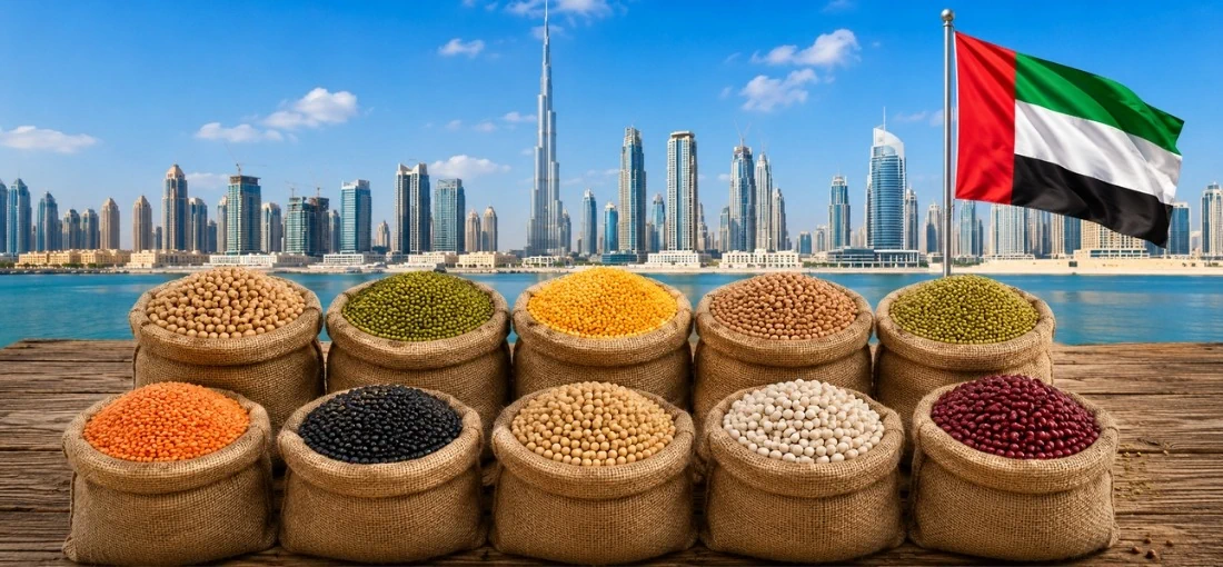 Pulses Importers in United Arab Emirates