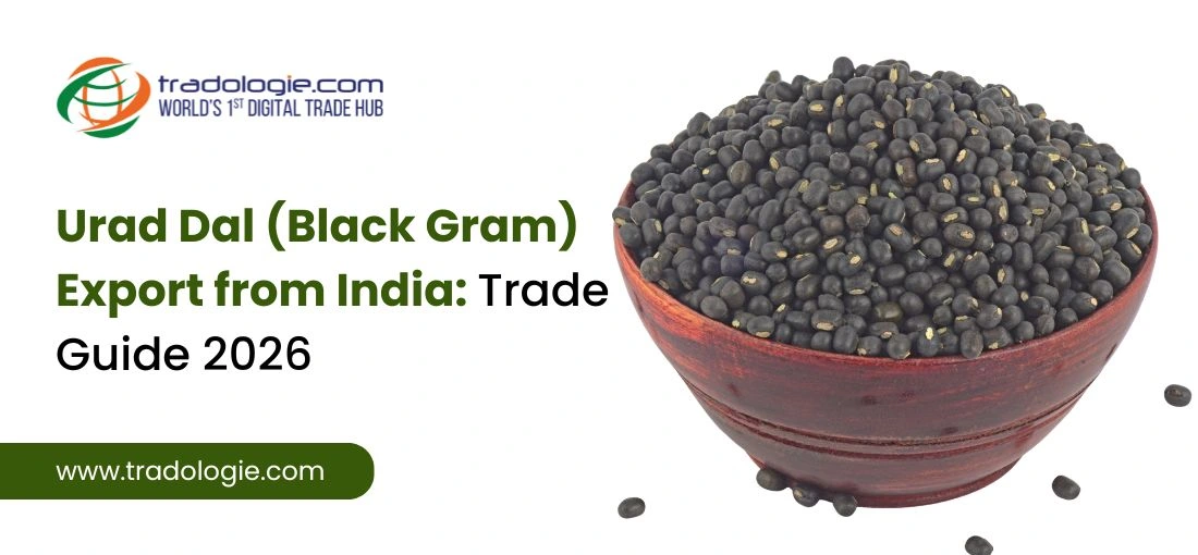 Urad Dal (Black Gram) Export from India: Trade Guide 2026