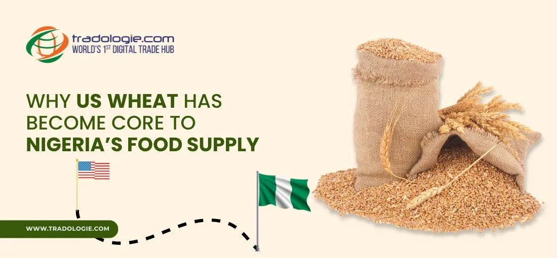 Why US Wheat Has Become Core to Nigeria’s Food Supply