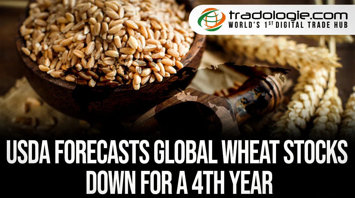 USDA Forecasts Global Wheat Stocks Down For A 4th Year