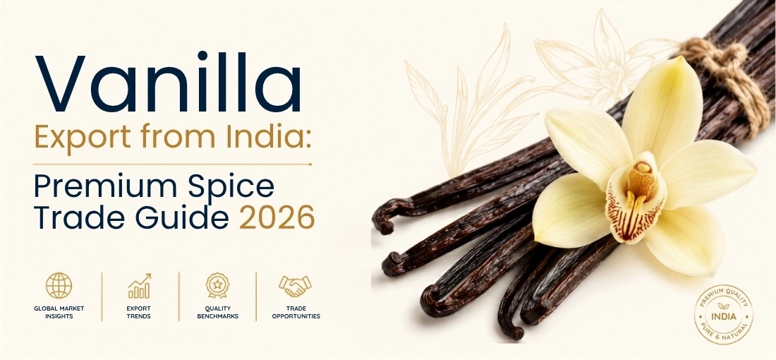 Vanilla Export from India