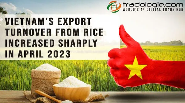 Vietnam Export Turnover From Rice Increased Sharply In April 2023
