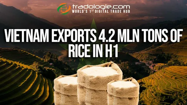 Vietnam Exports 4.2 Mln Tons Of Rice In H1