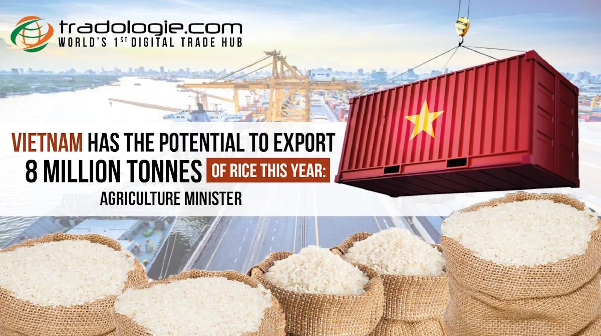 Vietnam Has The Potential To Export 8 Million Tonnes Of Rice Vietnam Has The Potential To Export 8 Million Tonnes Of Rice
