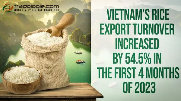 Vietnam Rice Export Turnover Increased
