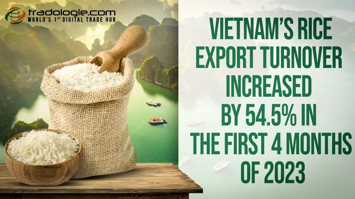 Vietnam’s Rice Export Turnover Increased By 54.5% In The First 4 Months Of 2023 Vietnam’s Rice Export Turnover Increased By 54.5% In The First 4 Months Of 2023