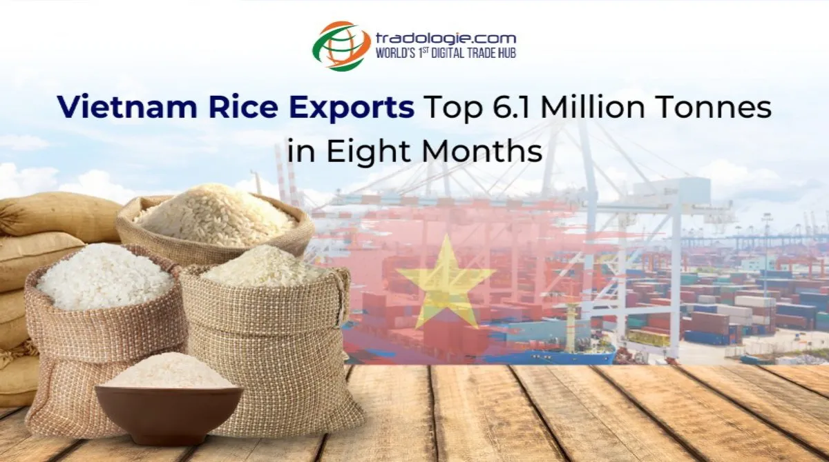 Vietnam Rice Exports