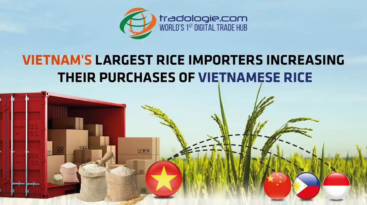 Vietnam's Largest Rice Importers Increasing Their Purchases of Vietnamese Rice