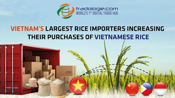 Vietnam's Largest Rice Importers Increasing Their Purchases of Vietnamese Rice