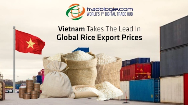 Vietnam Takes The Lead In Global Rice Export Prices