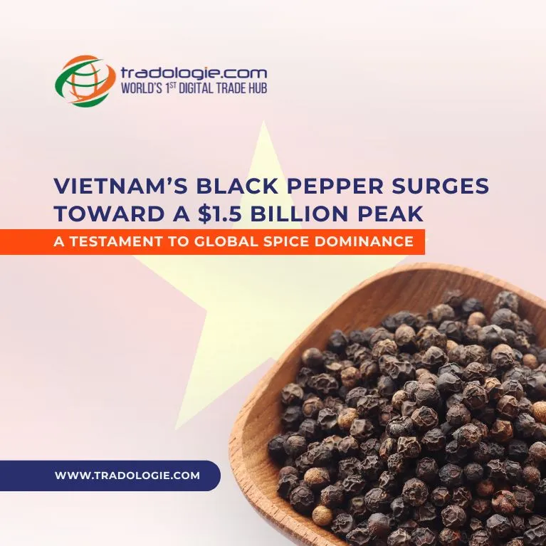 Vietnam’s Black Pepper Surges Toward a $1.5 Billion Peak — A Testament to Global Spice Dominance