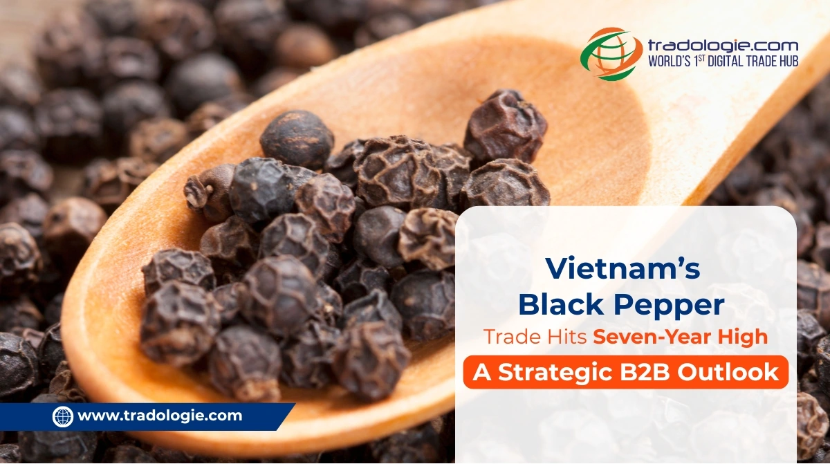 Vietnam’s Black Pepper Trade Hits Seven-Year High: A Strategic B2B Outlook