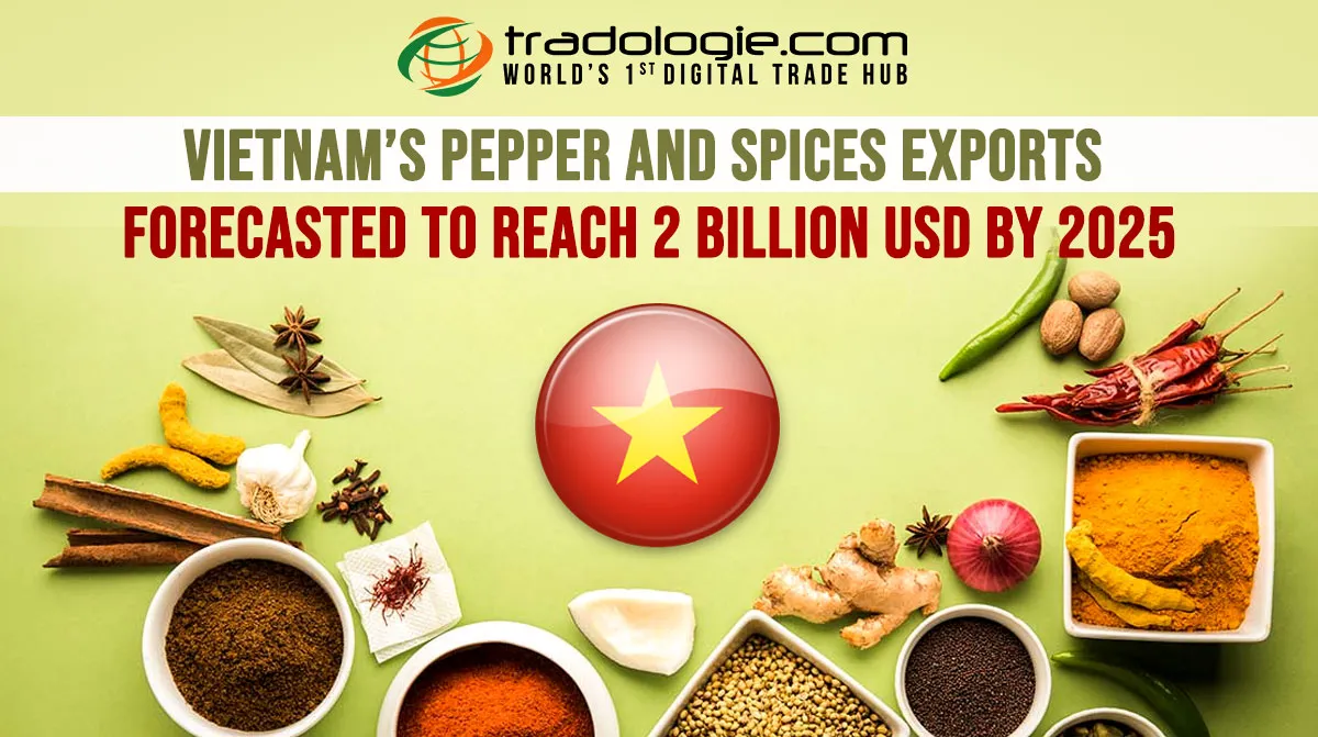 Vietnam’s Pepper And Spices Exports Forecasted To Reach 2 Billion USD By 2025