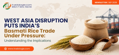 West Asia Disruption Puts India Basmati Rice Trade Under Pressure Understanding the Implications