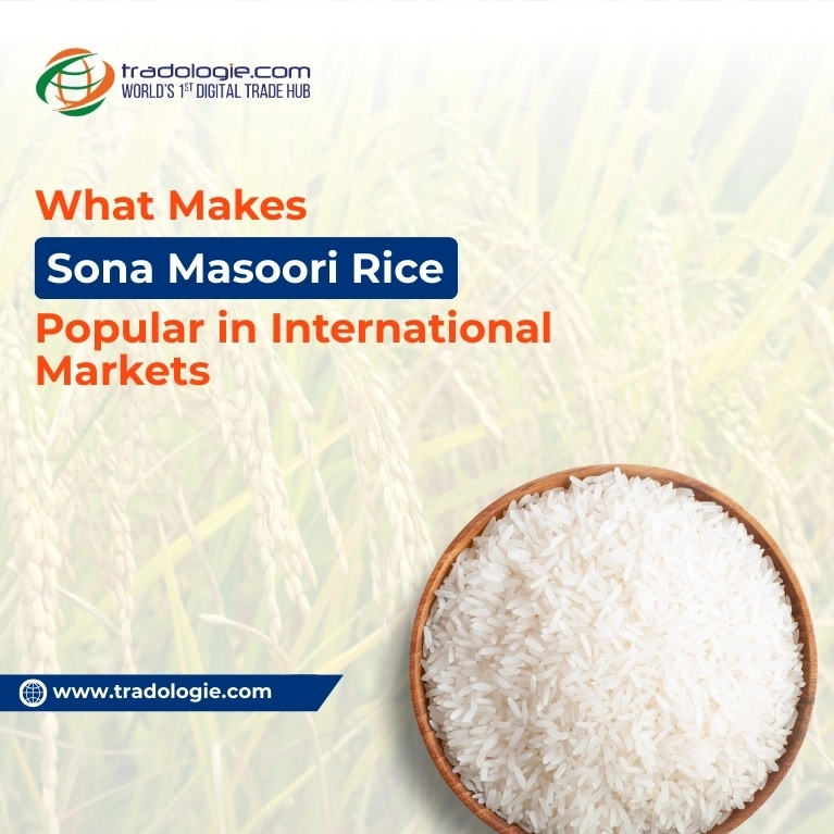 What Makes Sona Masoori Rice Popular in International Markets