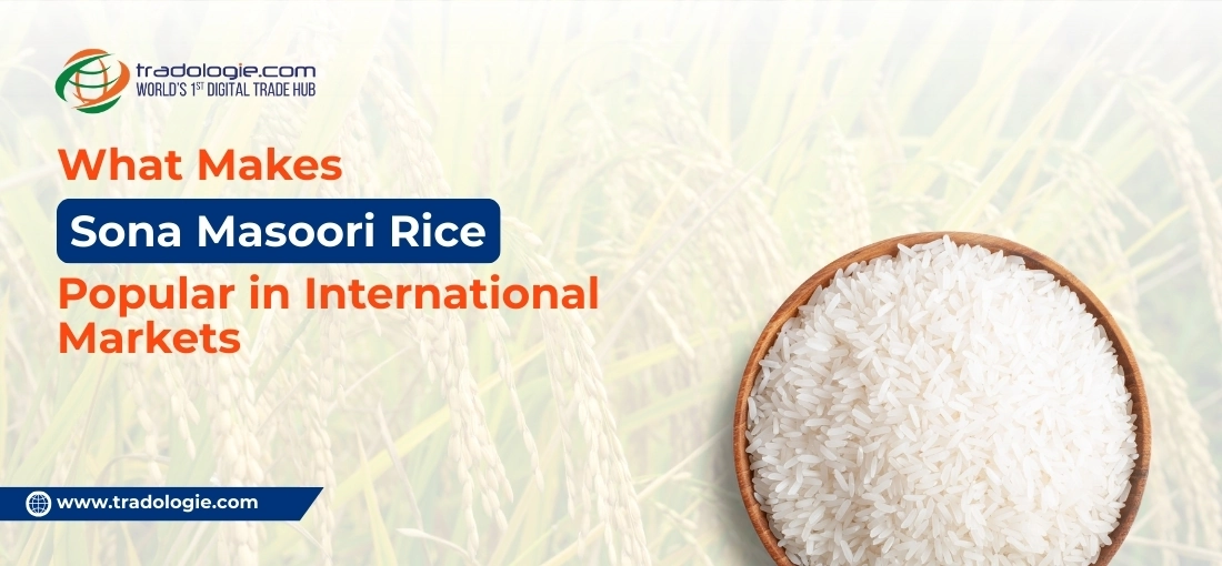 What Makes Sona Masoori Rice Popular in International Markets What Makes Sona Masoori Rice Popular in International Markets