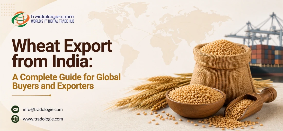Wheat Export from India A Complete Guide for Global Buyers and Exporters