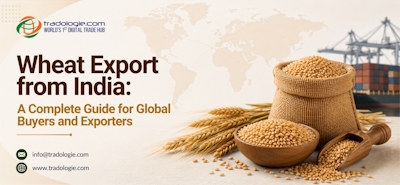 Wheat Export from India A Complete Guide for Global Buyers and Exporters