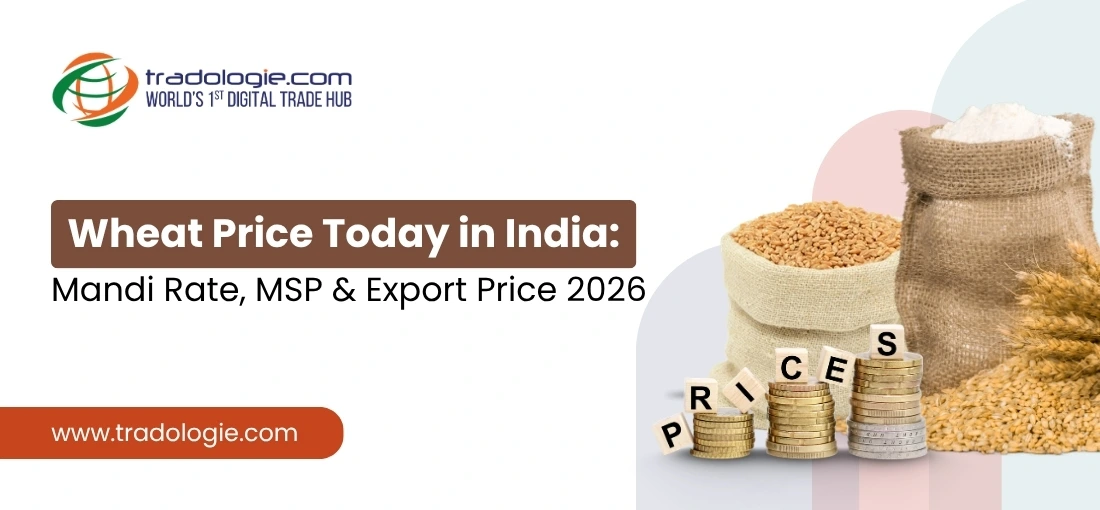 Wheat Price Today in India