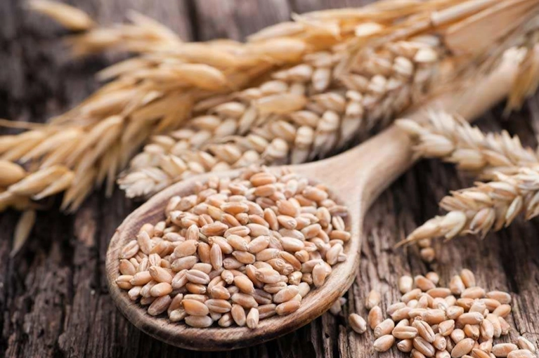 Wheat