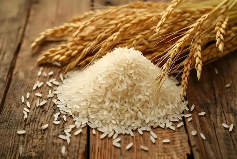 White Long Grain Rice