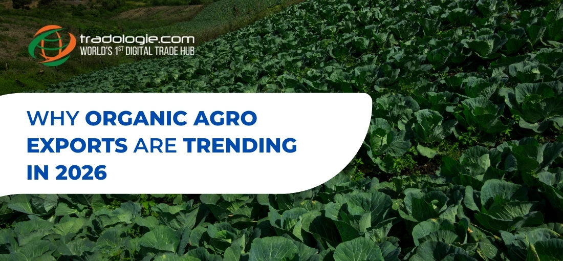 Why Organic Agro Exports Are Trending in 2026