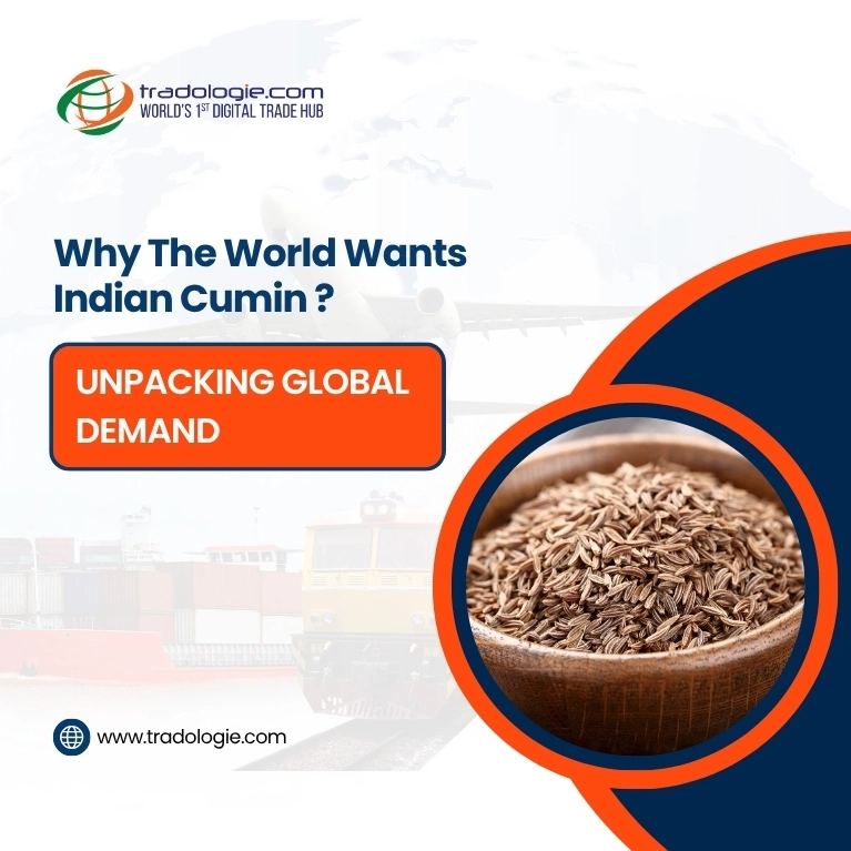 Why the World Wants Indian Cumin: Unpacking Global Demand